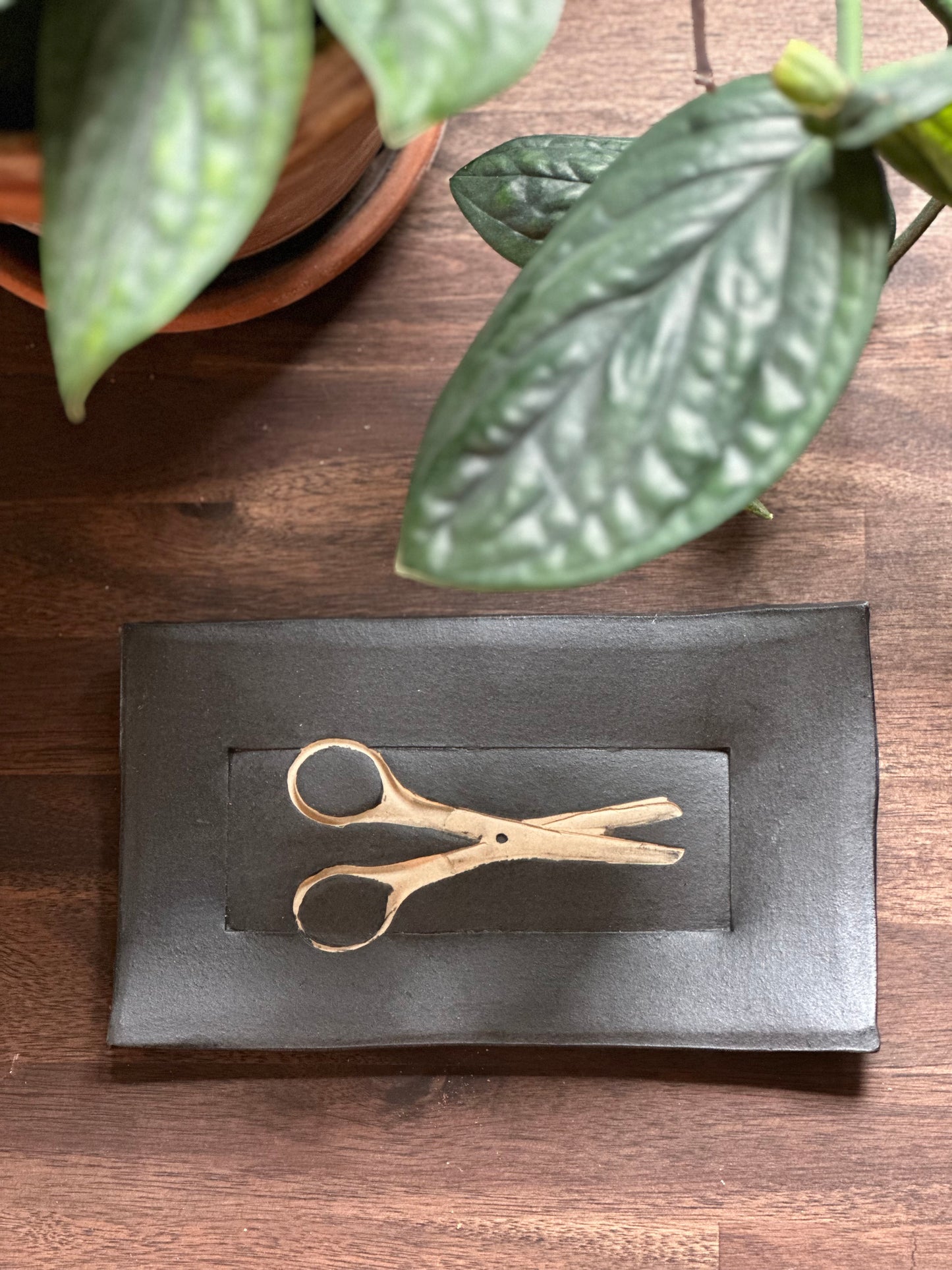 Scissors Tray